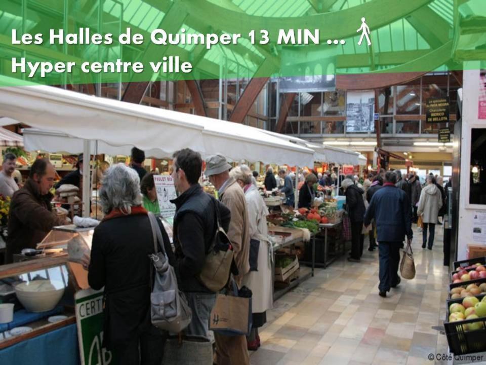 Le Nid 2 Quimper By Nid'Ouest Leilighet Eksteriør bilde